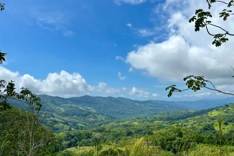 Land