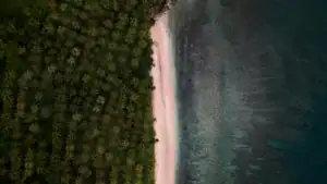 golfito-real-estate