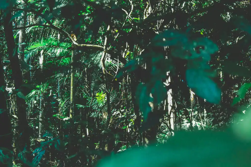 Things to Do in Dominical, Costa Rica