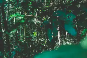 Things to Do in Dominical, Costa Rica